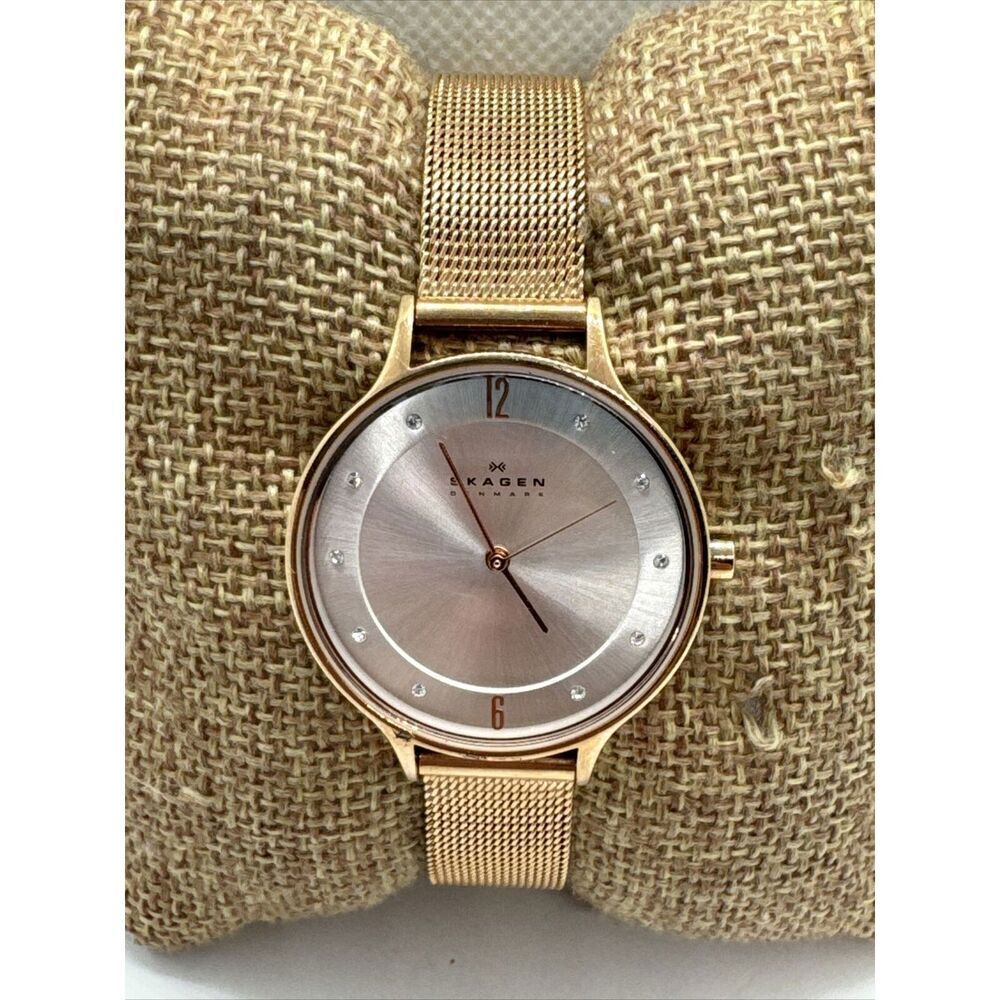 Skagen SKW2151 Womens Stainless Steel Mesh Analog Dial Quartz Wrist Watch AEA320